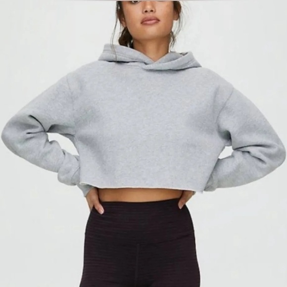 TNA Sweaters - Aritzia TNA Cropped Hoodie